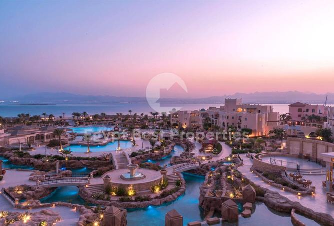 8037689 - صورة العقار 3