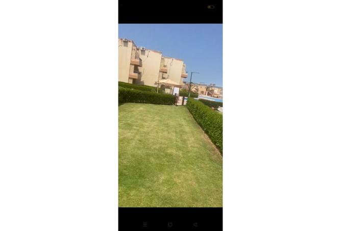 8507116 - Property Image 3