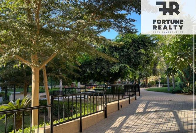 8338555 - Property Image 3