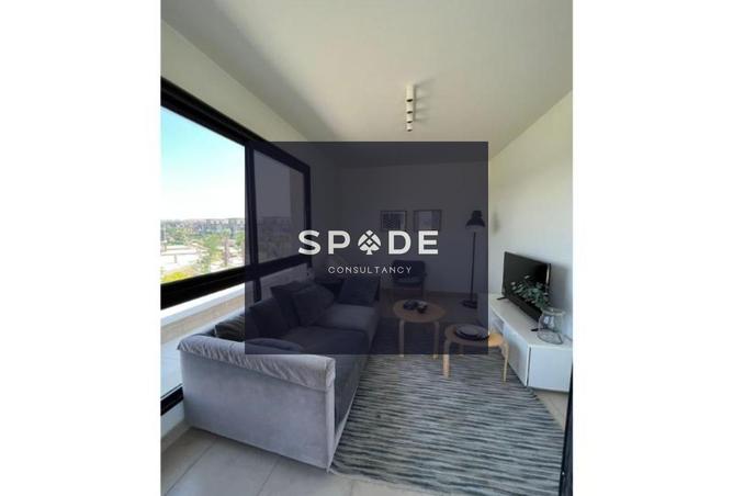 8425886 - Property Image 2