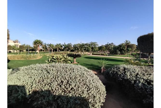 8393655 - صورة العقار 3