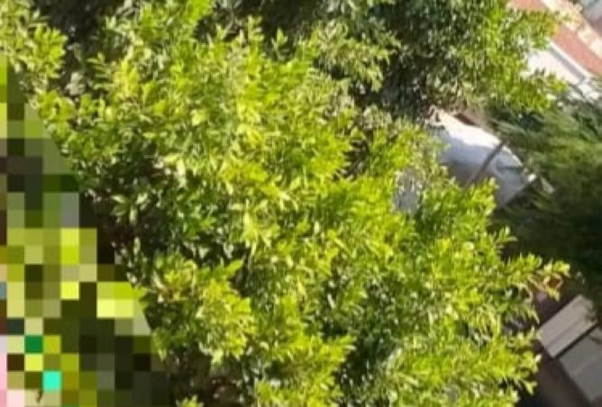 8491913 - صورة العقار 3