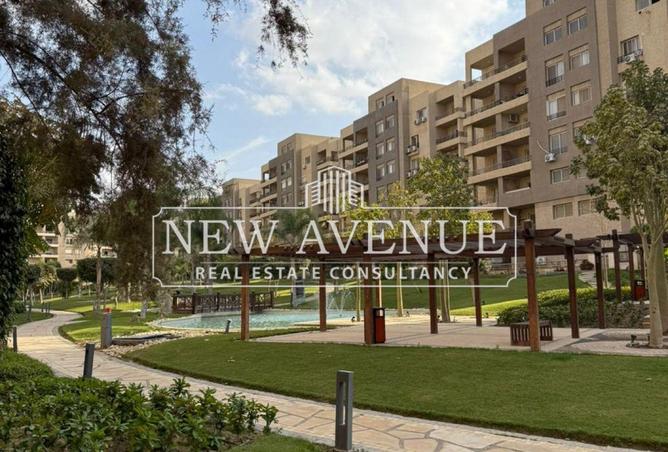 8248886 - Property Image 2