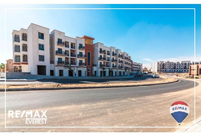 8033853 - Property Image 3