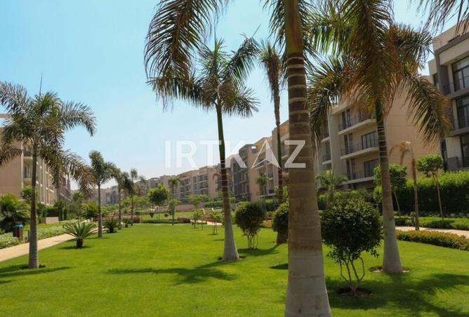 7961698 - صورة العقار 3