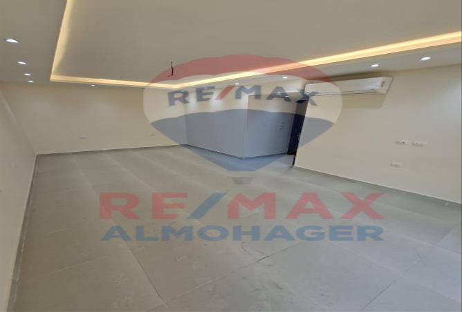 8386601 - Property Image 2