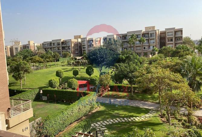7969196 - الصورة الرئيسية للعقار
