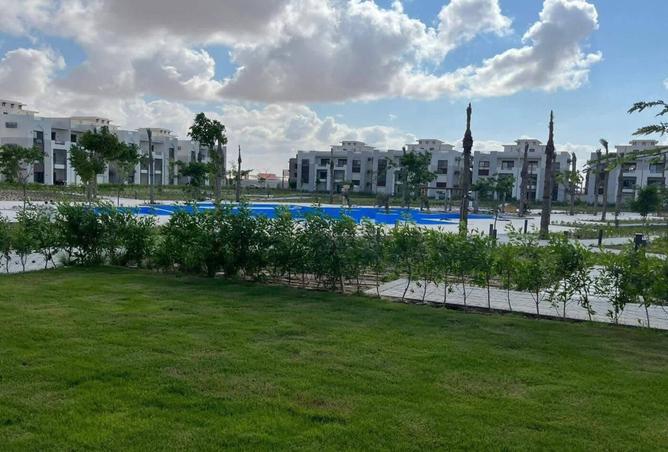 7985617 - الصورة الرئيسية للعقار