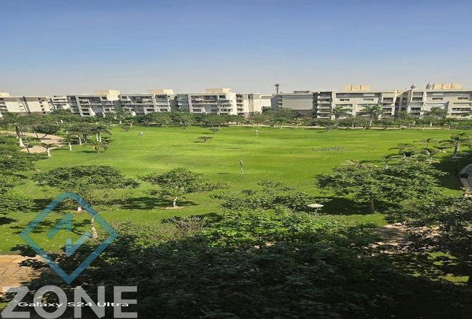 8131431 - Property Image 2