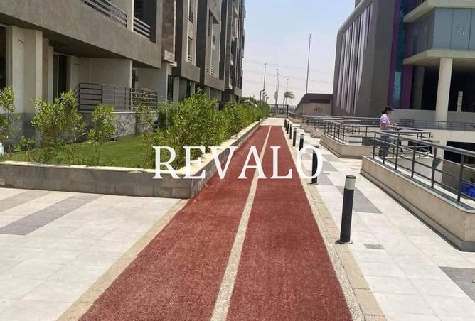 8171224 - الصورة الرئيسية للعقار