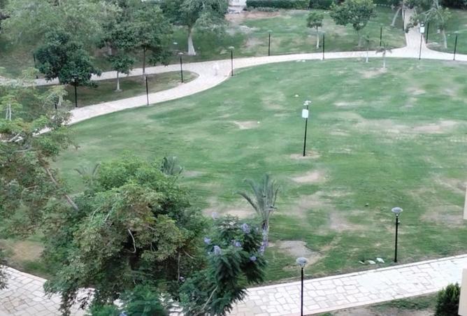 8058395 - صورة العقار 2