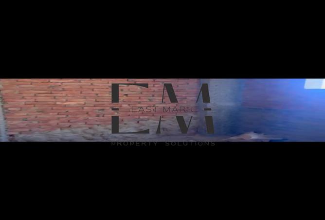 8197804 - صورة العقار 2