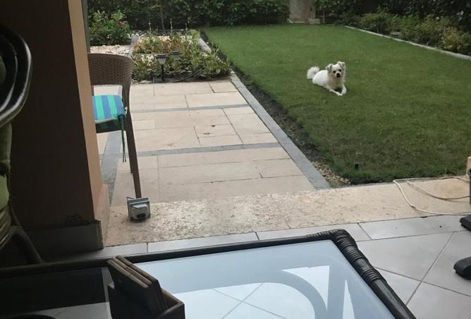 8236579 - Property Main Image