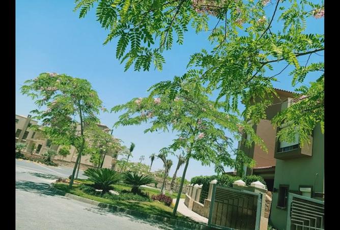 8409019 - الصورة الرئيسية للعقار