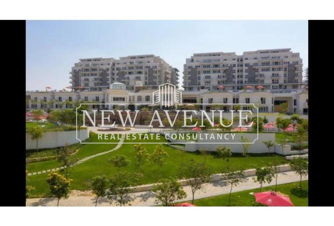 8356978 - Property Image 2