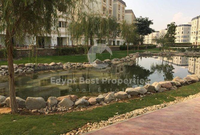 8017308 - Property Image 3