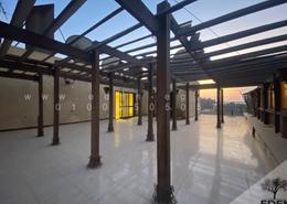 Penthouse - 4 bedrooms for للايجار in Mohamed Anis St. - Zamalek - Cairo