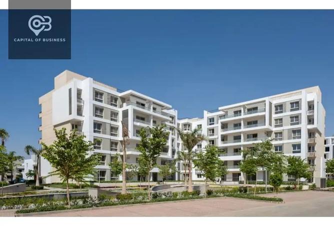 8182337 - Property Image 3