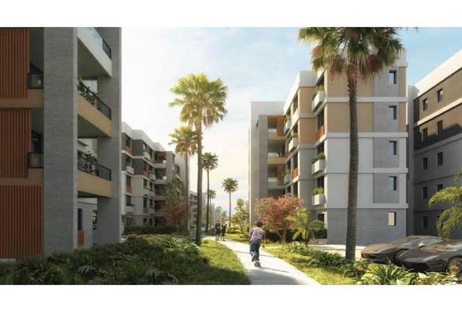 8292958 - Property Image 3