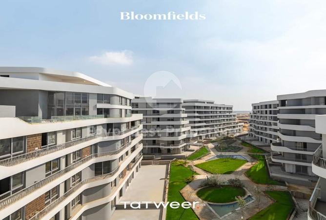 7993376 - Property Image 2