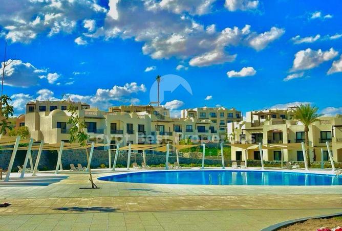 8175837 - Property Image 3