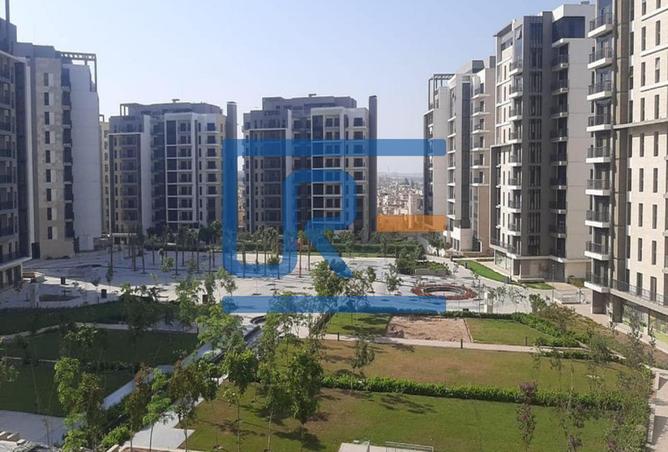 8009083 - صورة العقار 3