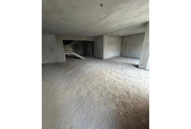 8033245 - Property Image 3