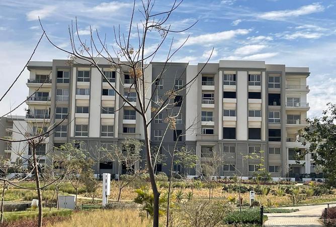 8131607 - Property Image 3