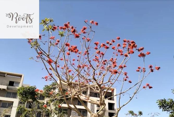 8276780 - صورة العقار 3