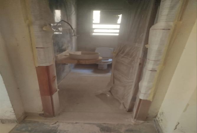 7906919 - Property Image 3