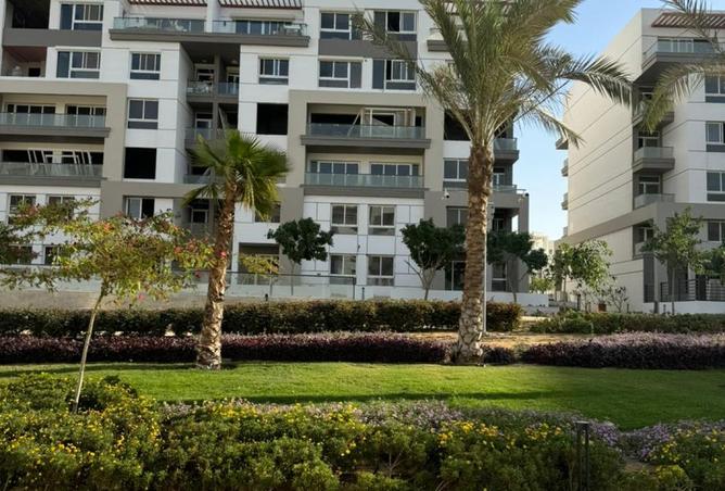 8221284 - Property Image 3