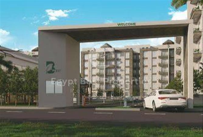 7975498 - Property Image 3