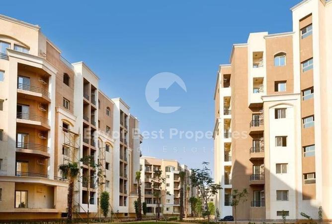 8427889 - Property Image 3