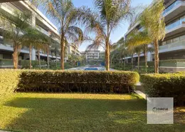 Apartment - 2 Bedrooms - 2 Bathrooms for rent in El Patio 7 - 5th Settlement Compounds - The 5th Settlement - New Cairo City - Cairo