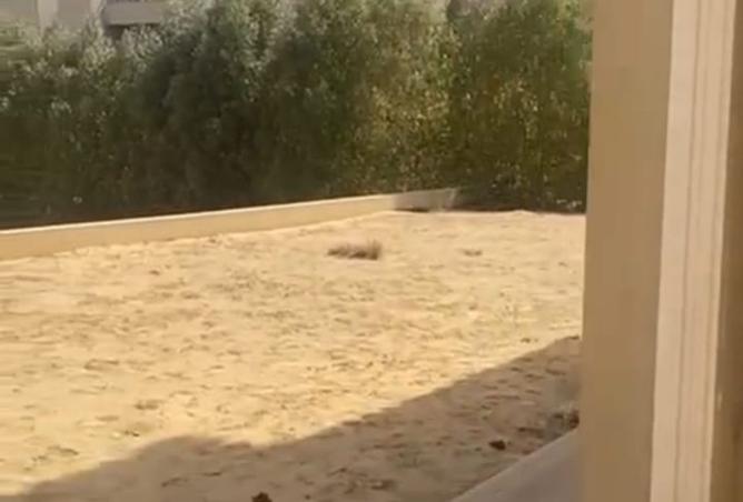 8328304 - Property Image 3