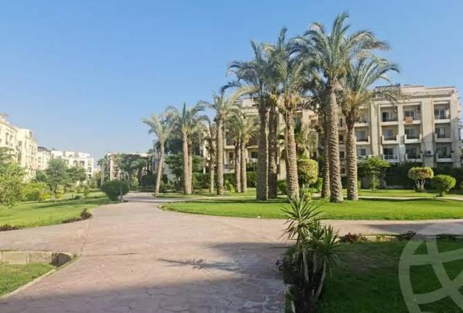 8526374 - Property Image 2