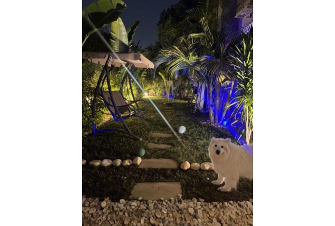 8538901 - صورة العقار 2