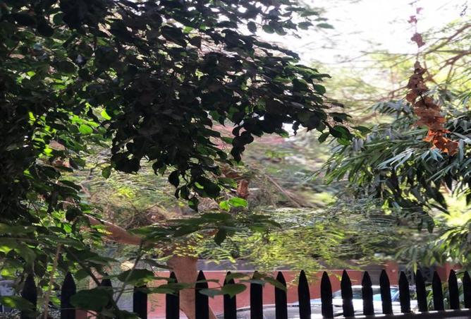 8487251 - Property Image 3