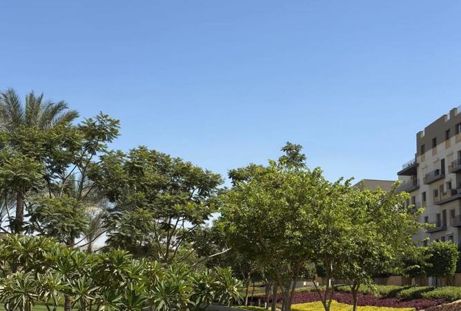 8295691 - Property Main Image