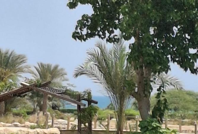 8317750 - صورة العقار 2