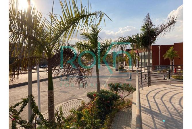 7903755 - Property Image 2