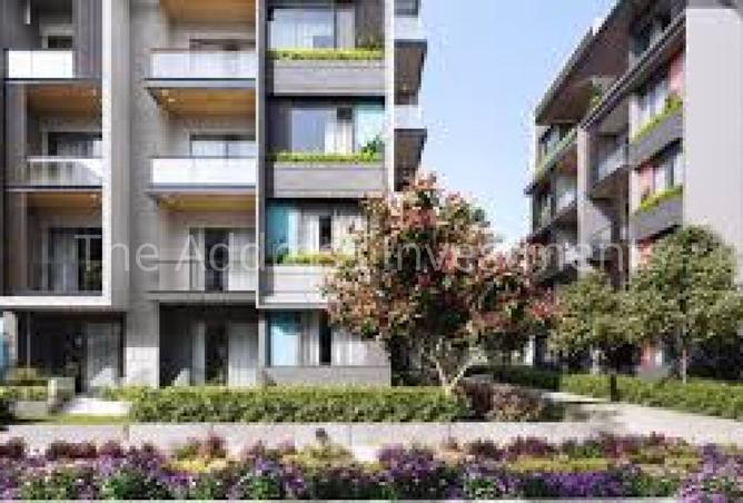 7911389 - Property Image 3