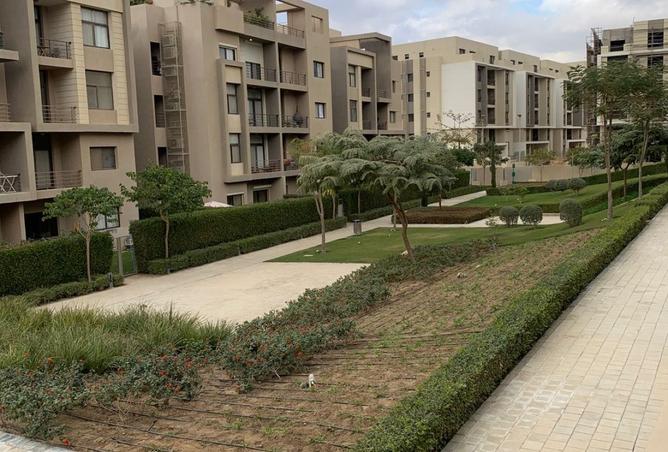 8548435 - Property Image 3