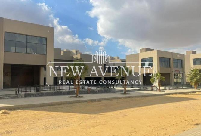 8436983 - Property Image 3