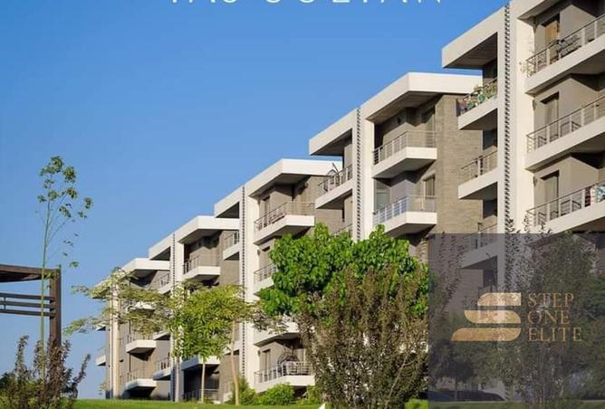 7888793 - Property Image 3