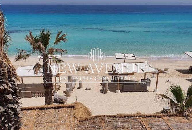 8113929 - Property Image 2