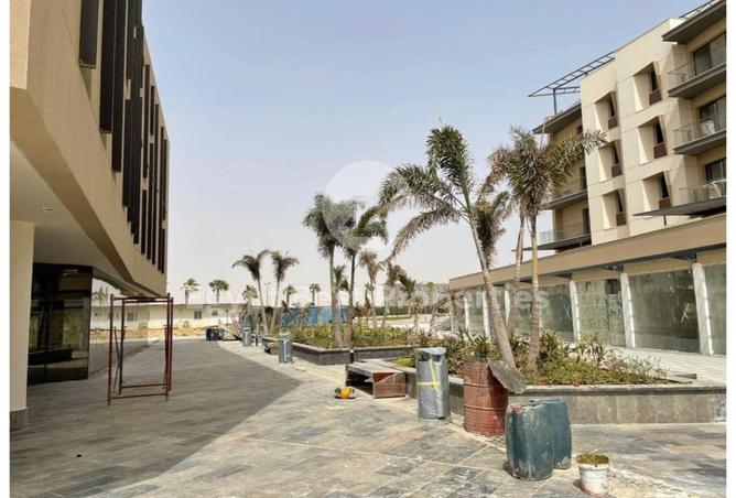 8068287 - Property Image 3