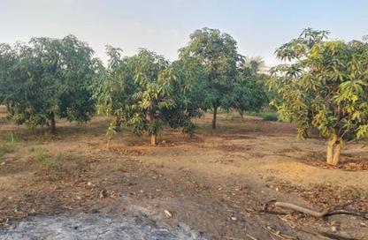 Land - Studio for sale in Gamaiet Ahmed Orabi - Obour City - Qalyubia