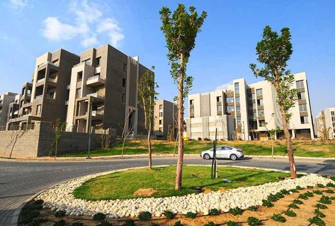 7993123 - Property Image 2