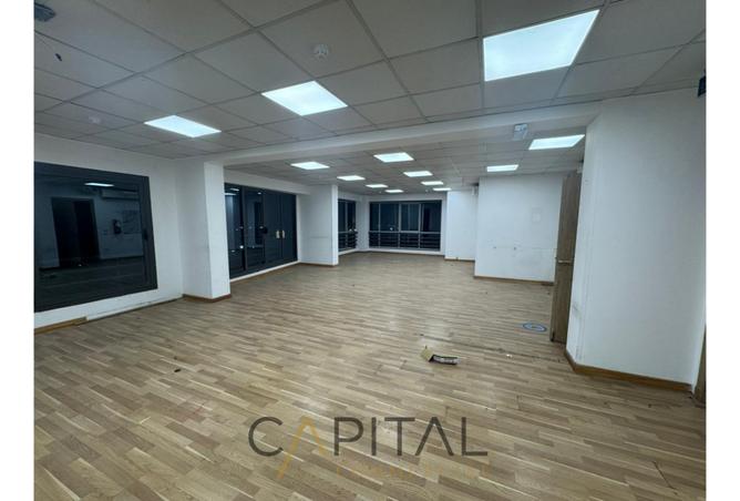 8447239 - Property Image 3